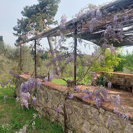 Casa Ezio Marchi - Due Appartamenti E Una Family Suite Bettolle Buitenkant foto