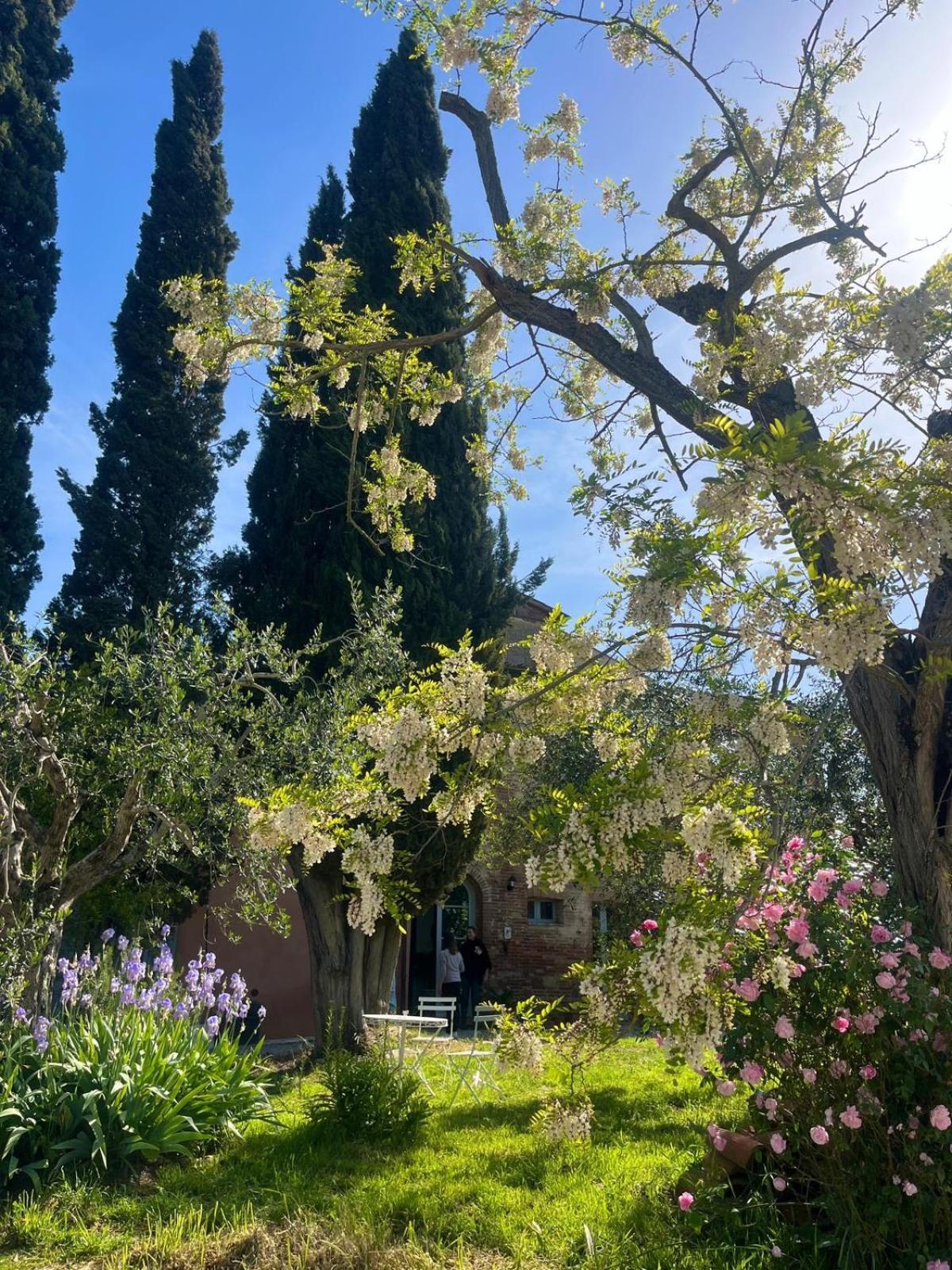 Casa Ezio Marchi - Due Appartamenti E Una Family Suite Bettolle Buitenkant foto