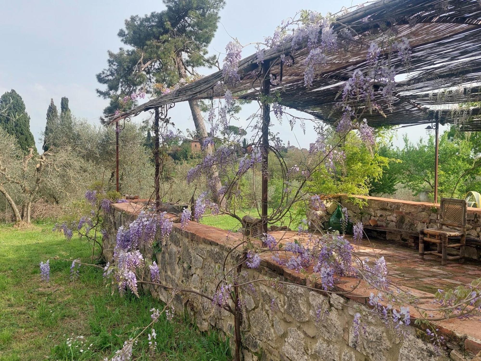 Casa Ezio Marchi - Due Appartamenti E Una Family Suite Bettolle Buitenkant foto