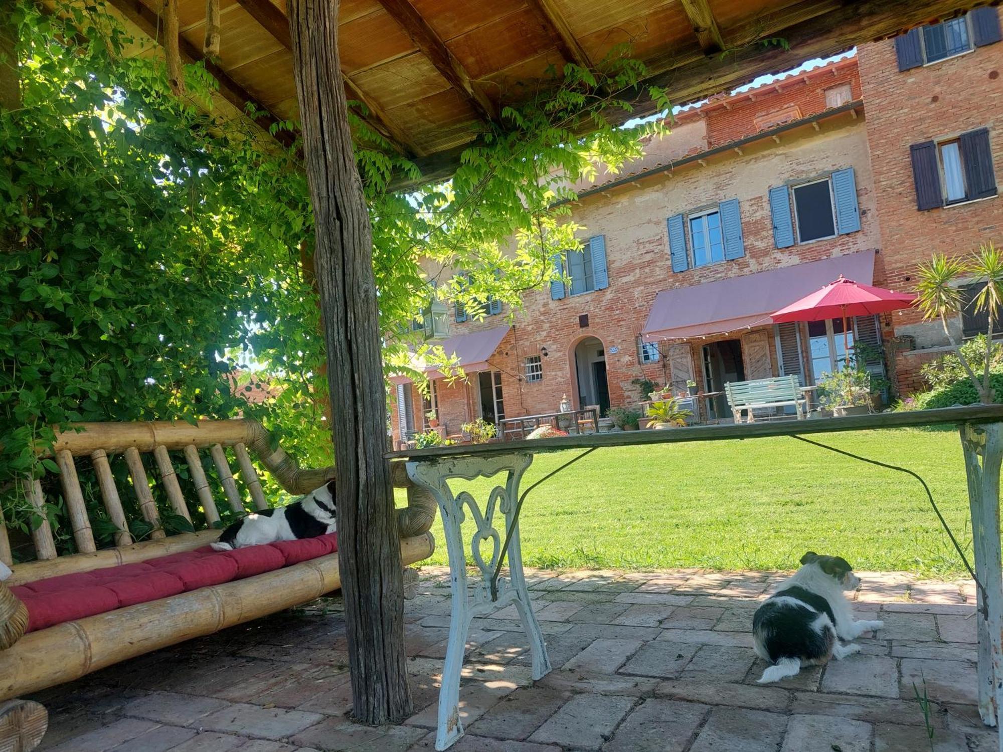 Casa Ezio Marchi - Due Appartamenti E Una Family Suite Bettolle Buitenkant foto