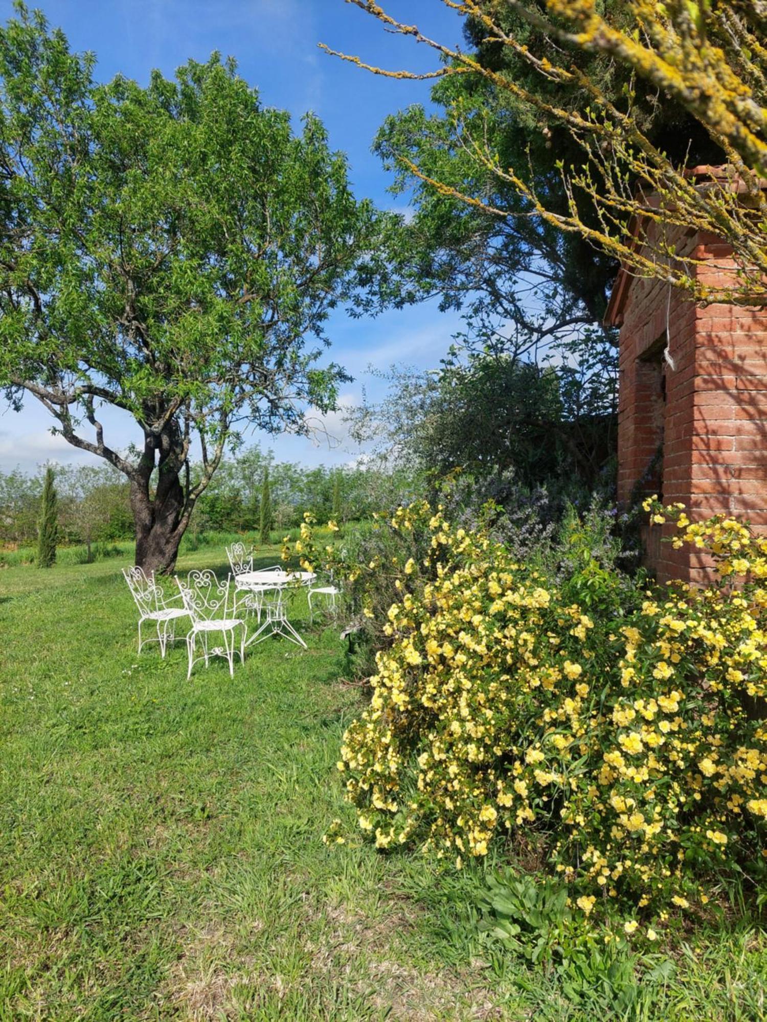 Casa Ezio Marchi - Due Appartamenti E Una Family Suite Bettolle Buitenkant foto