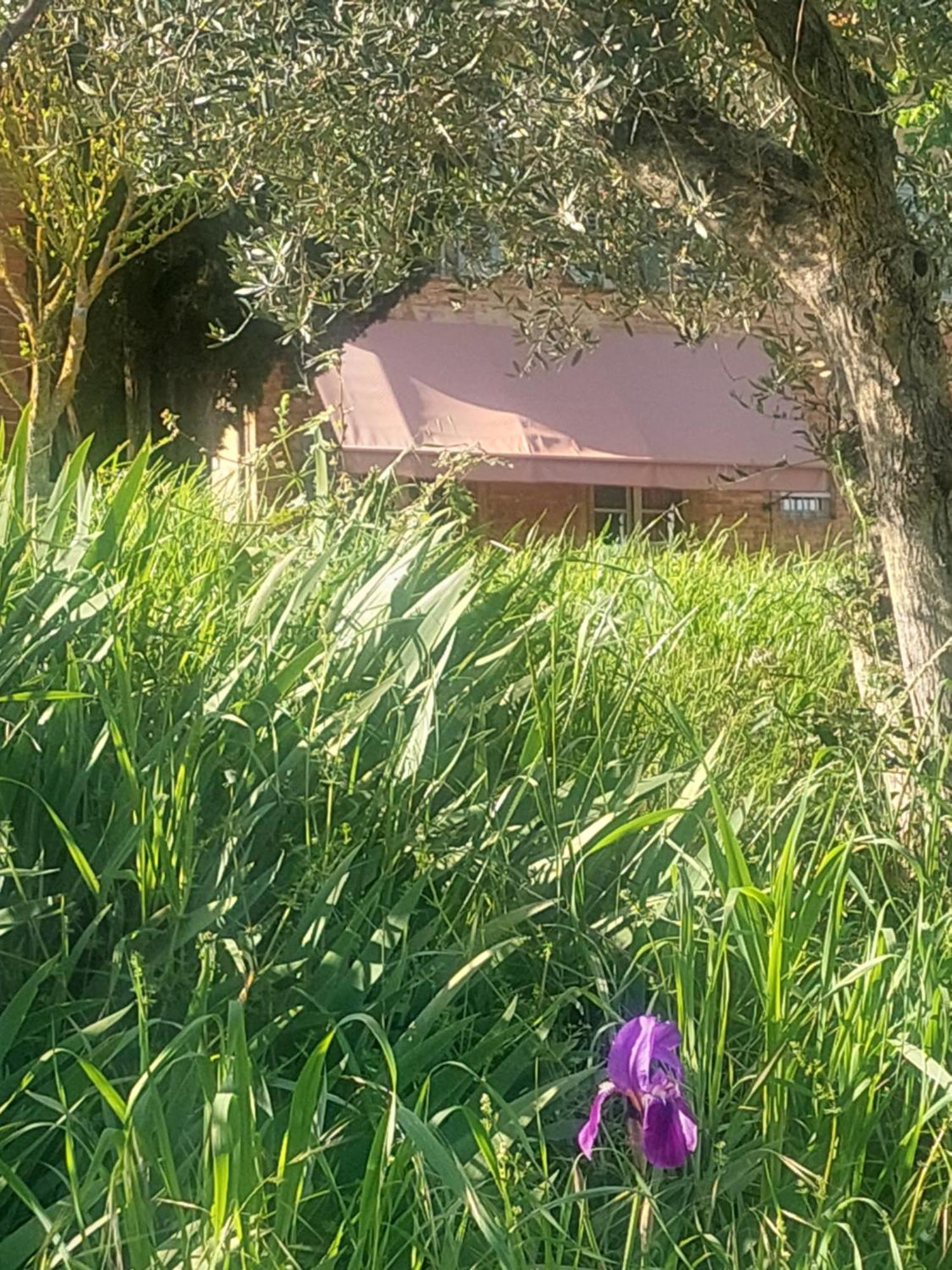 Casa Ezio Marchi - Due Appartamenti E Una Family Suite Bettolle Buitenkant foto