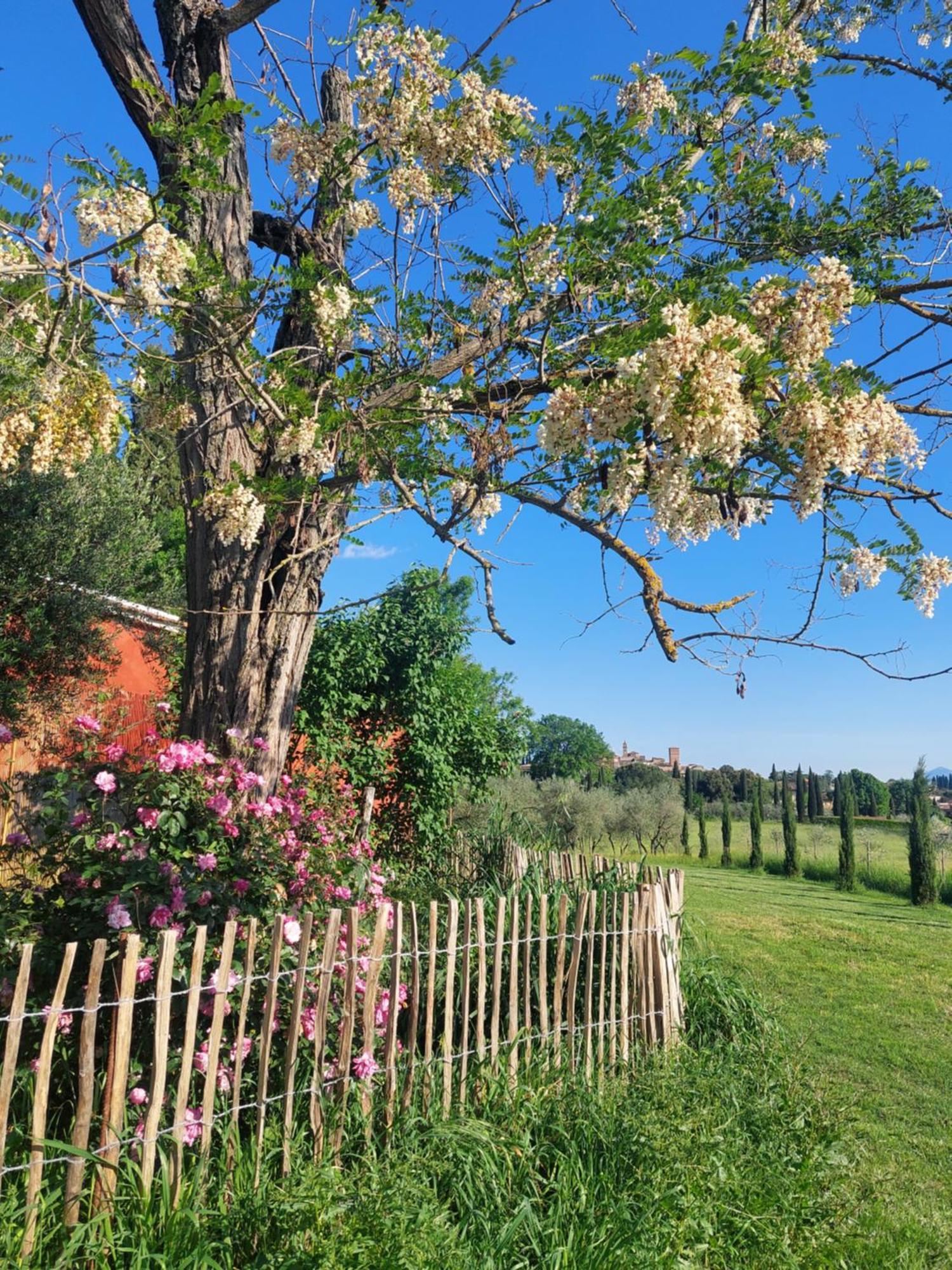 Casa Ezio Marchi - Due Appartamenti E Una Family Suite Bettolle Buitenkant foto